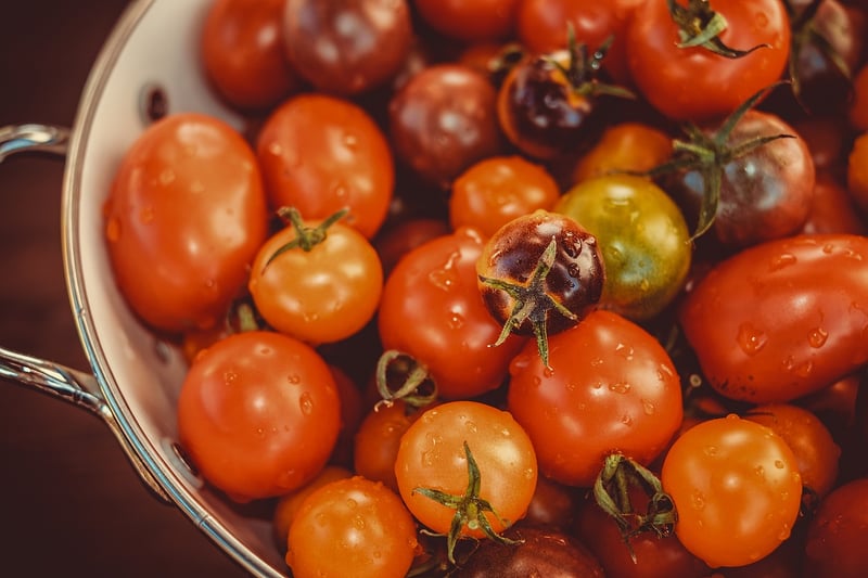 Healthy Farm-to-Table Meal